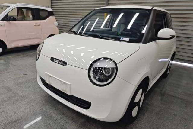 Used CHANGAN NEVO Lumin 2023 205km Xiangqin Version