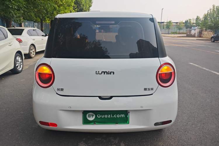 Used CHANGAN NEVO Lumin 2023 205km Xiangqin Version Rear