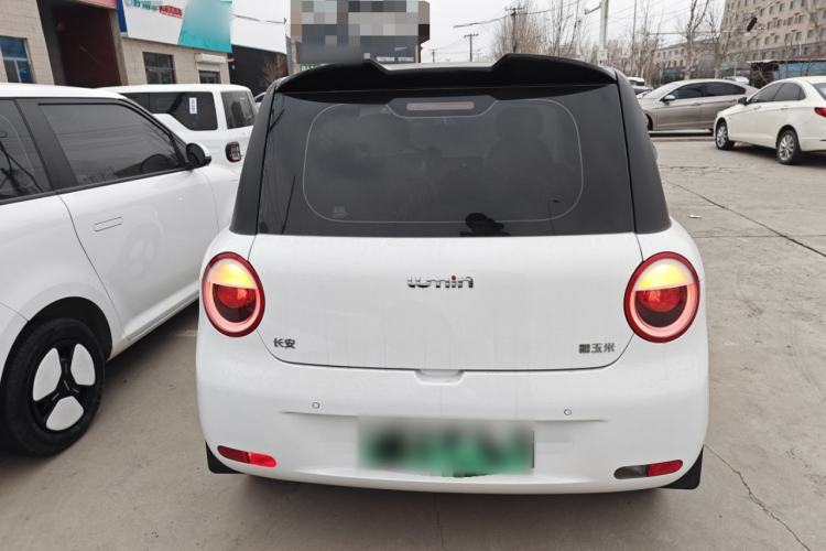 Used CHANGAN NEVO Lumin 2023 205km Xiangqin Version Rear