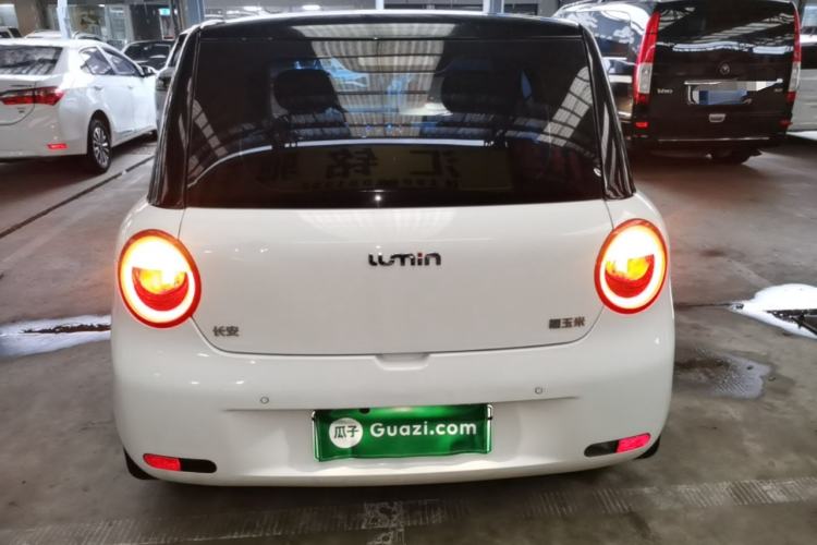 Used CHANGAN NEVO Lumin 2023 205km Xiangqin Version Rear