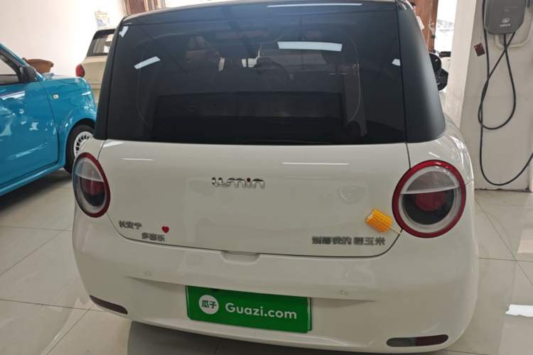 Used CHANGAN NEVO Lumin 2023 205km Xiangqin Version Rear