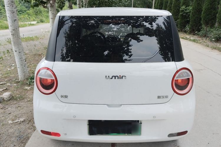 Used CHANGAN NEVO Lumin 2023 205km Xiangqin Version Rear