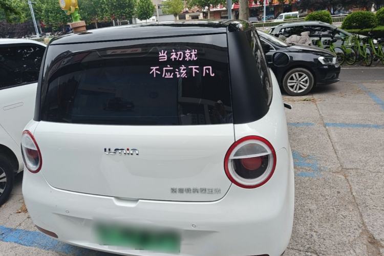 Used CHANGAN NEVO Lumin 2023 205km Xiangqin Version Rear