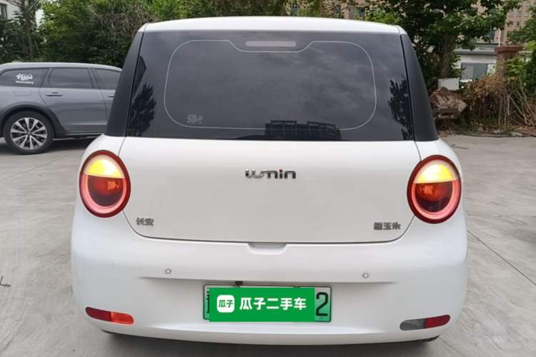 Used CHANGAN NEVO Lumin 2023 205km Xiangqin Version Rear