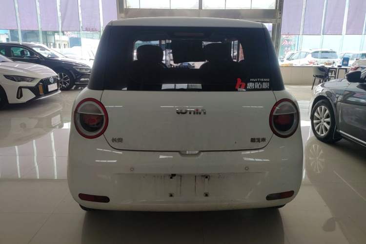 Used CHANGAN NEVO Lumin 2023 205km Xiangqin Version Rear