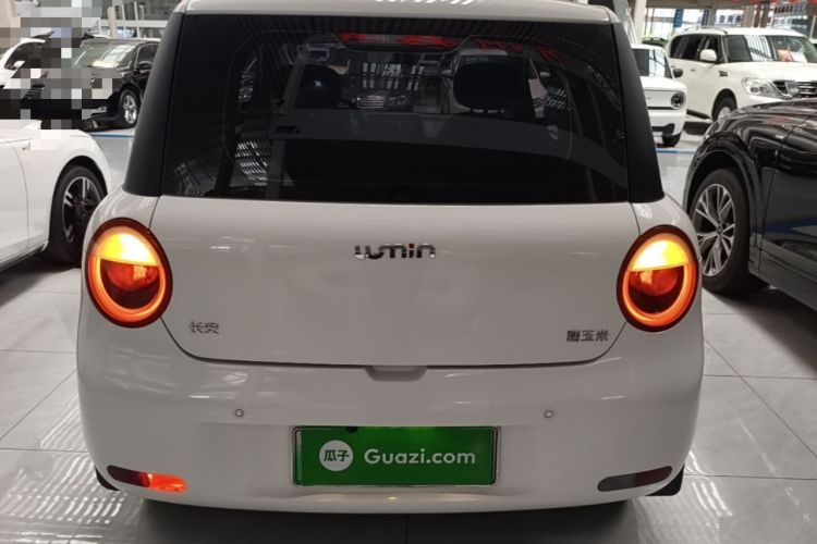 Used CHANGAN NEVO Lumin 2023 205km Xiangqin Version Rear