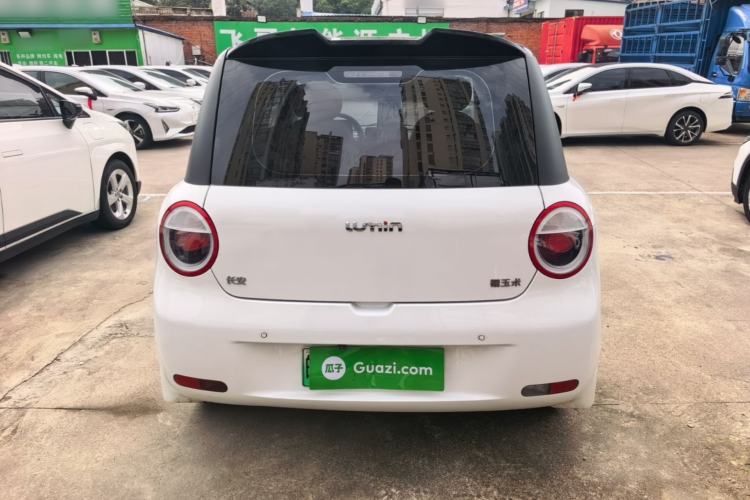Used CHANGAN NEVO Lumin 2023 205km Xiangqin Version Rear