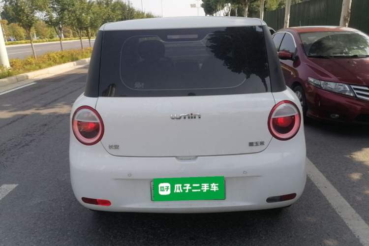 Used CHANGAN NEVO Lumin 2023 205km Xiangqin Version Rear