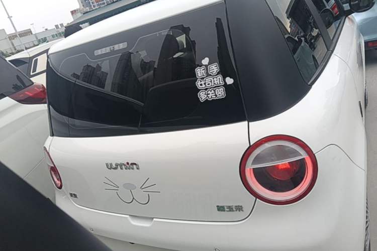 Used CHANGAN NEVO Lumin 2023 205km Xiangqin Version Rear