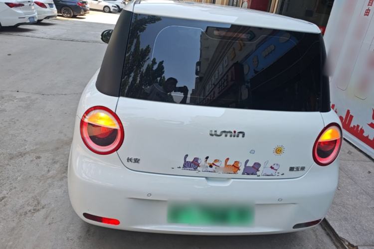 Used CHANGAN NEVO Lumin 2023 205km Xiangqin Version Rear