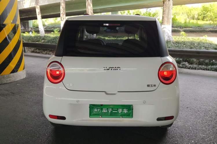 Used CHANGAN NEVO Lumin 2023 205km Xiangqin Version Rear