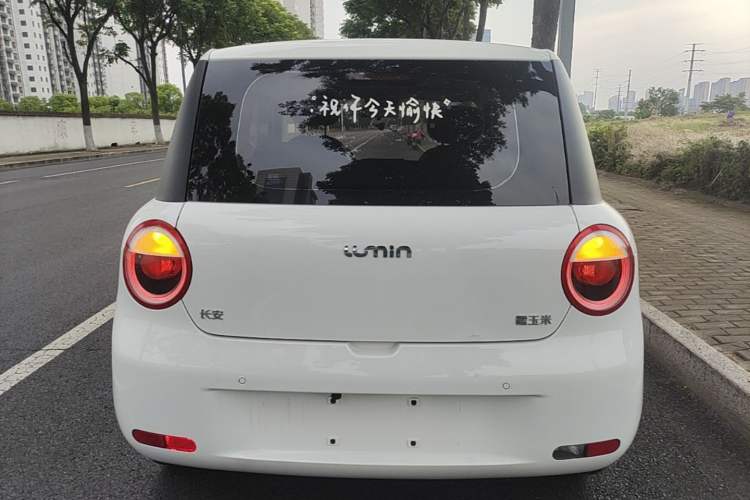 Used CHANGAN NEVO Lumin 2023 205km Xiangqin Version Rear