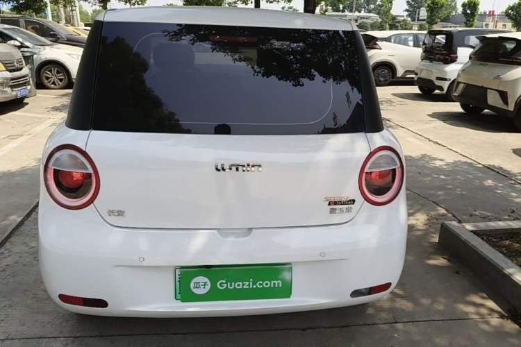 Used CHANGAN NEVO Lumin 2023 205km Xiangqin Version Rear