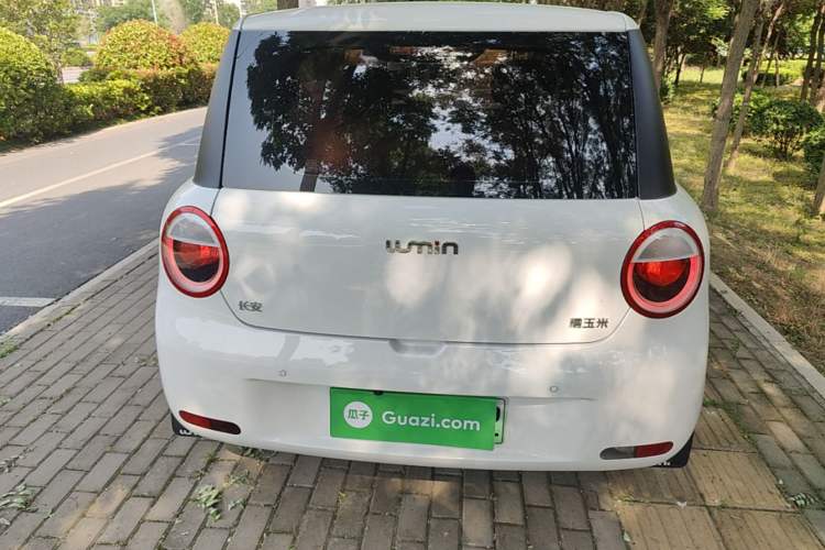 Used CHANGAN NEVO Lumin 2023 205km Xiangqin Version Rear