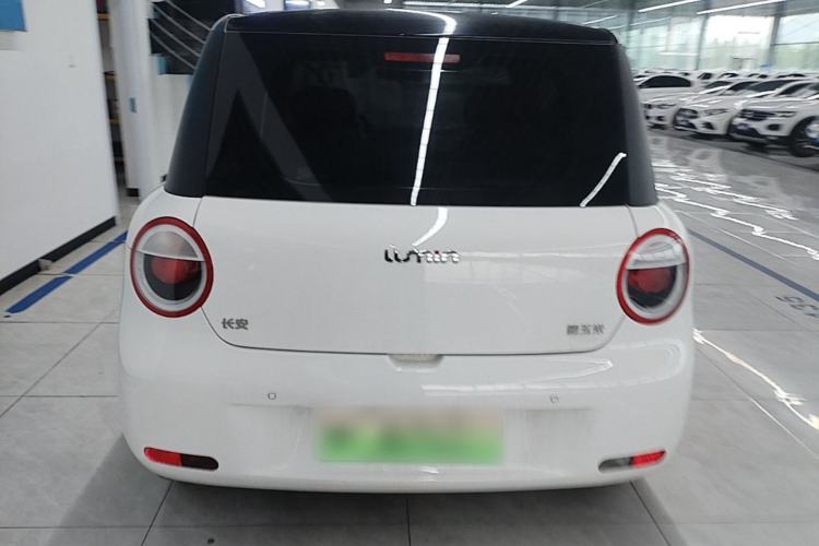 Used CHANGAN NEVO Lumin 2023 205km Xiangqin Version Rear