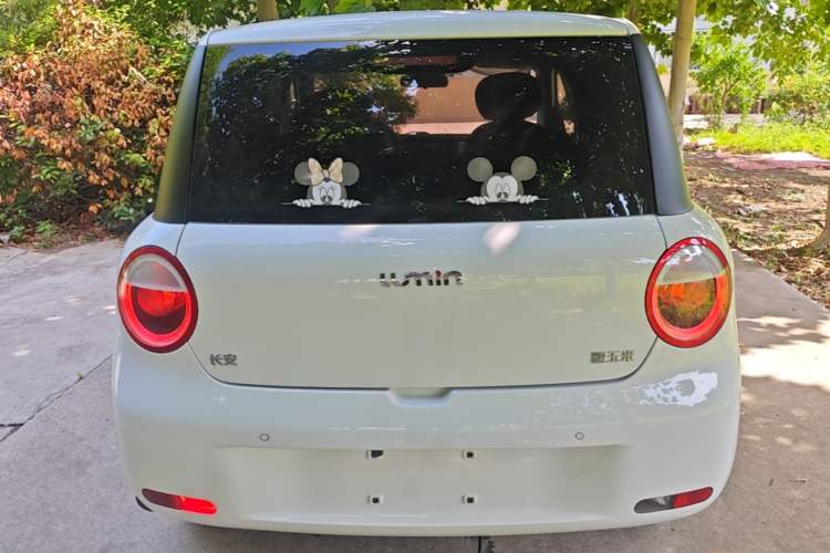 Used CHANGAN NEVO Lumin 2023 205km Xiangqin Version Rear