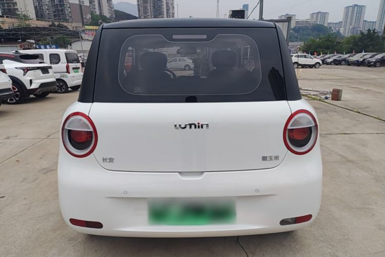 Used CHANGAN NEVO Lumin 2023 205km Xiangqin Version Rear