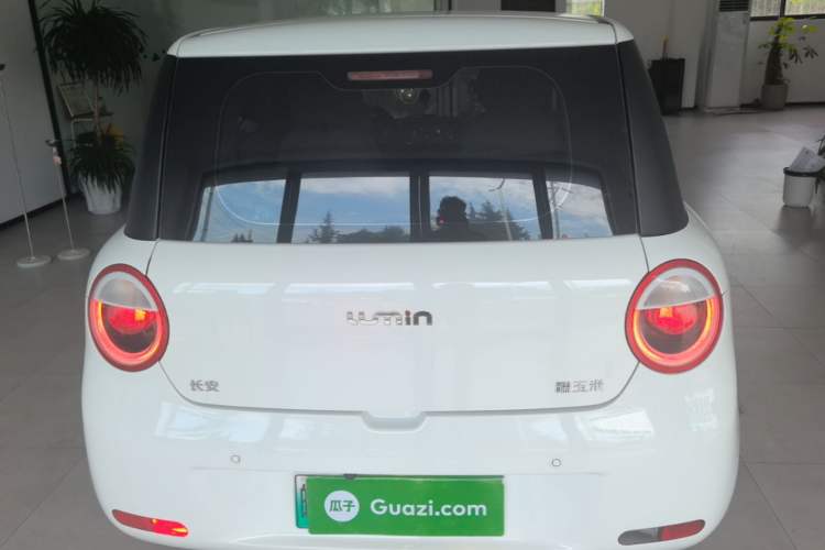 Used CHANGAN NEVO Lumin 2023 205km Xiangqin Version Rear