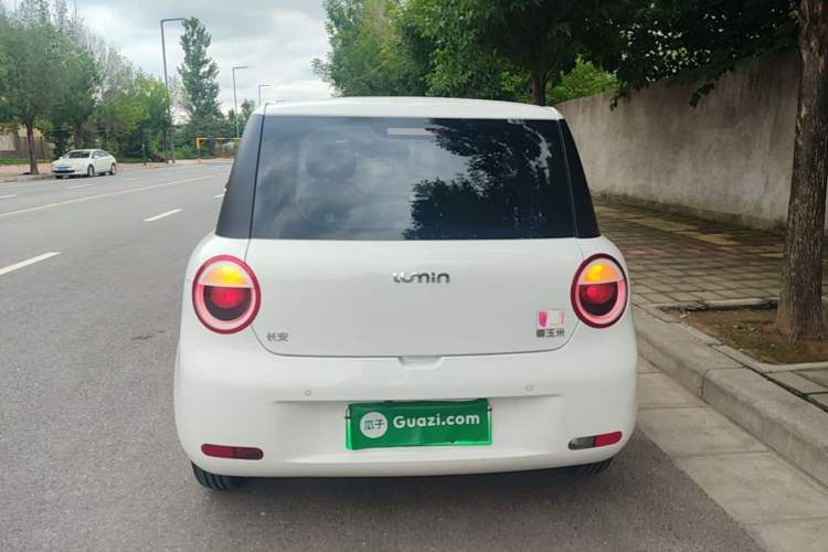 Used CHANGAN NEVO Lumin 2023 205km Xiangqin Version Rear
