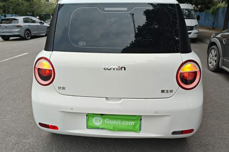 Used CHANGAN NEVO Lumin 2023 205km Xiangqin Version Rear