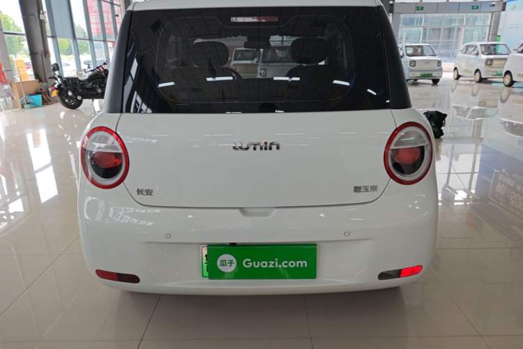 Used CHANGAN NEVO Lumin 2023 205km Xiangqin Version Rear