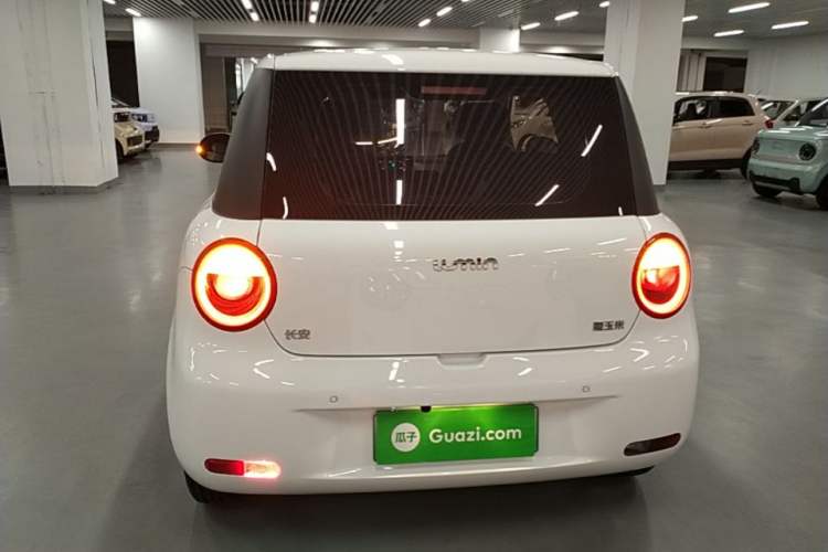 Used CHANGAN NEVO Lumin 2023 205km Xiangqin Version Rear