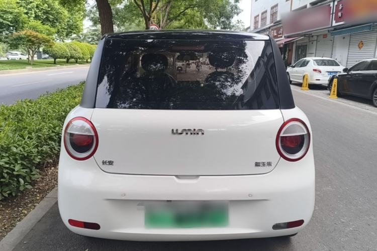Used CHANGAN NEVO Lumin 2023 205km Xiangqin Version Rear