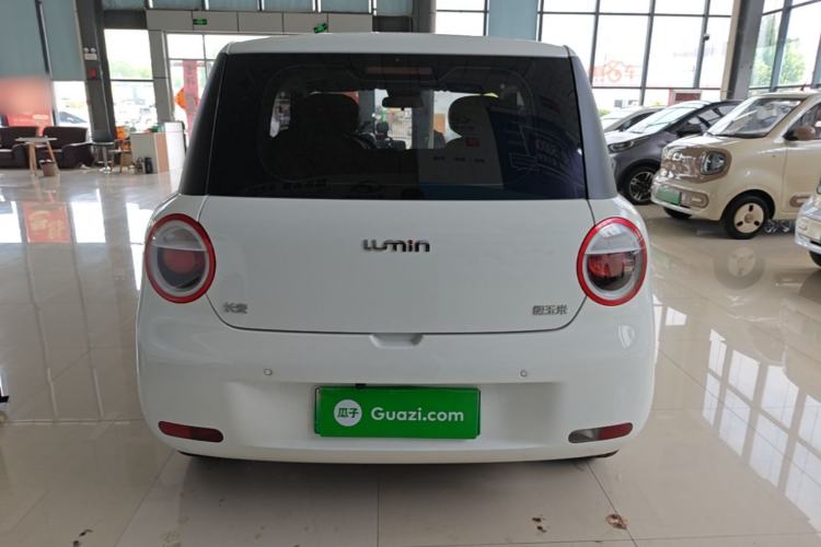 Used CHANGAN NEVO Lumin 2023 205km Xiangqin Version Rear