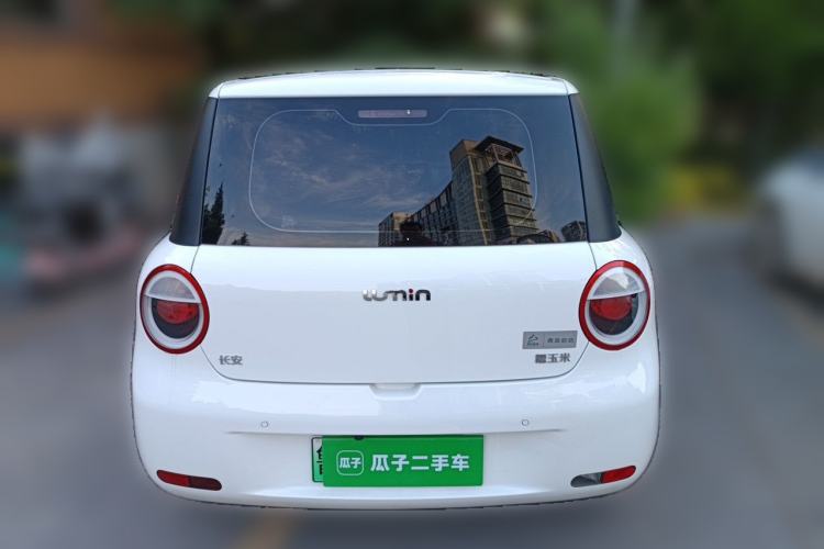 Used CHANGAN NEVO Lumin 2023 205km Xiangqin Version Rear