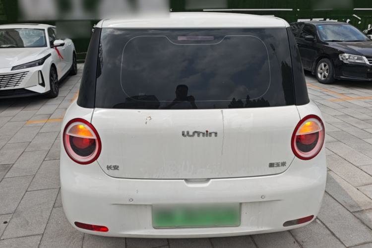 Used CHANGAN NEVO Lumin 2023 205km Xiangqin Version Rear
