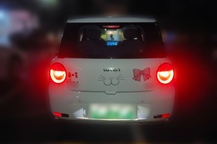 Used CHANGAN NEVO Lumin 2023 205km Xiangqin Version Rear