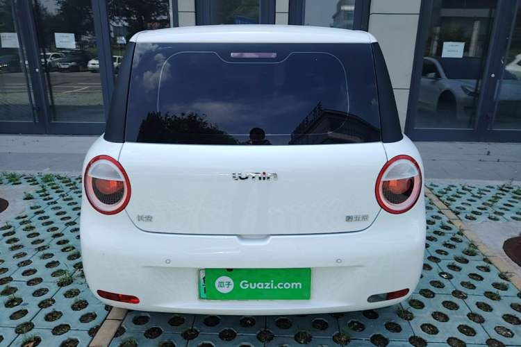 Used CHANGAN NEVO Lumin 2023 205km Xiangqin Version Rear