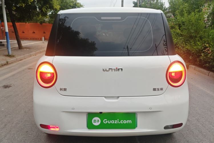 Used CHANGAN NEVO Lumin 2023 205km Xiangqin Version Rear