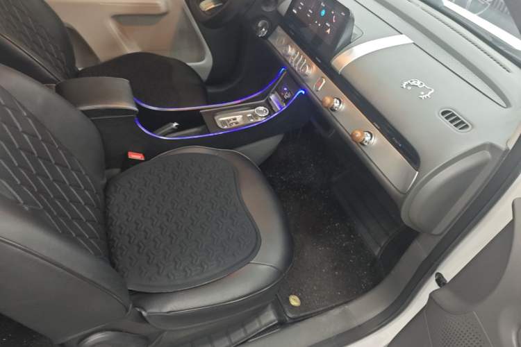 Used CHANGAN NEVO Lumin 2023 205km Xiangqin Version Right Front Seat