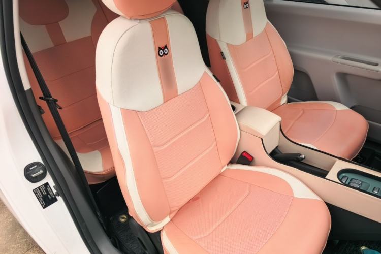 Used CHANGAN NEVO Lumin 2023 205km Xiangqin Version Right Front Seat
