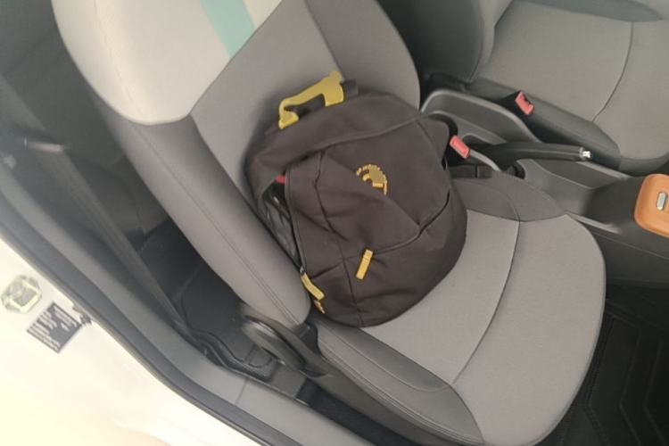 Used CHANGAN NEVO Lumin 2023 205km Xiangqin Version Right Front Seat