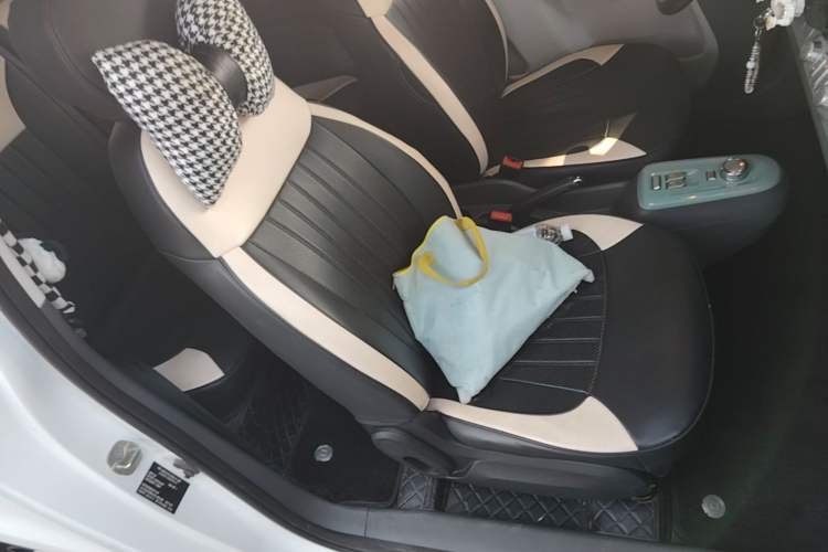 Used CHANGAN NEVO Lumin 2023 205km Xiangqin Version Right Front Seat