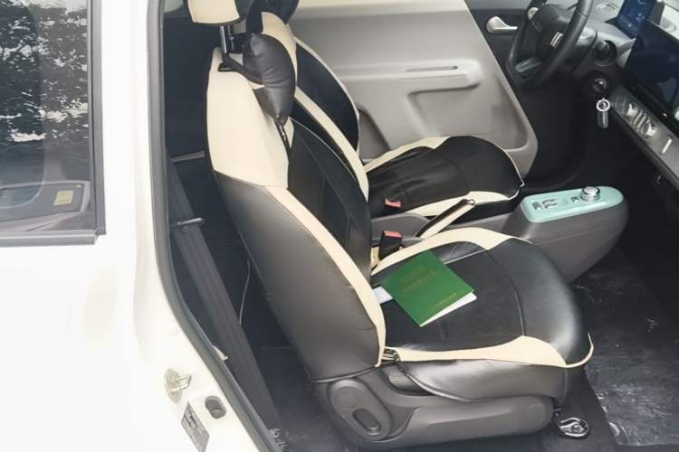 Used CHANGAN NEVO Lumin 2023 205km Xiangqin Version Right Front Seat