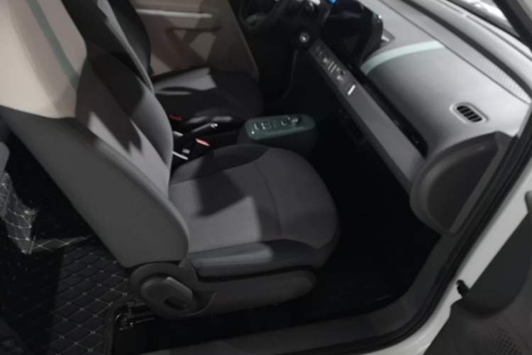 Used CHANGAN NEVO Lumin 2023 205km Xiangqin Version Right Front Seat