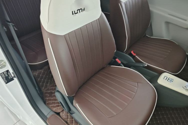 Used CHANGAN NEVO Lumin 2023 205km Xiangqin Version Right Front Seat