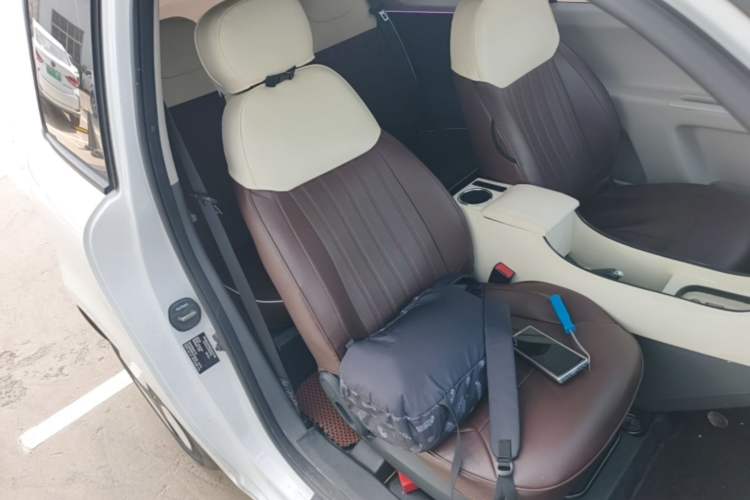 Used CHANGAN NEVO Lumin 2023 205km Xiangqin Version Right Front Seat