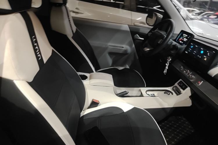 Used CHANGAN NEVO Lumin 2023 205km Xiangqin Version Right Front Seat
