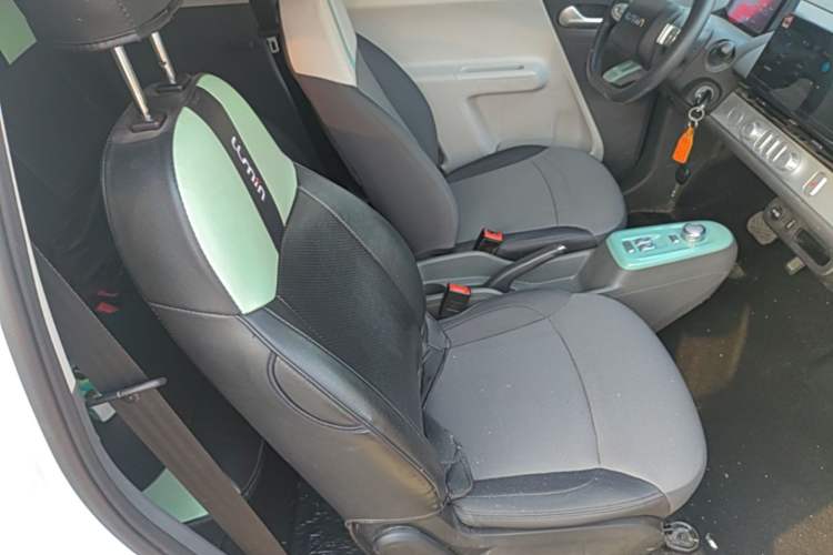 Used CHANGAN NEVO Lumin 2023 205km Xiangqin Version Right Front Seat
