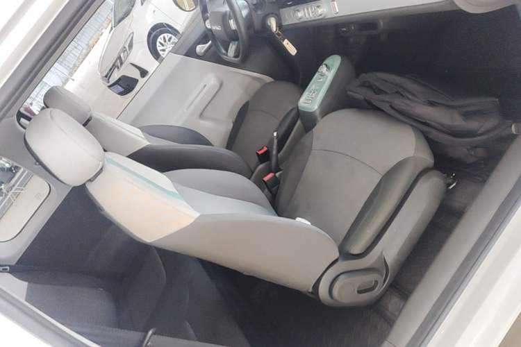 Used CHANGAN NEVO Lumin 2023 205km Xiangqin Version Right Front Seat