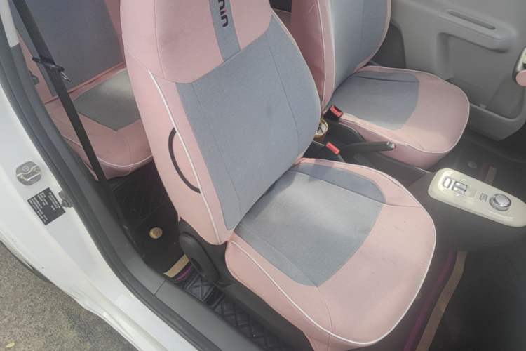 Used CHANGAN NEVO Lumin 2023 205km Xiangqin Version Right Front Seat