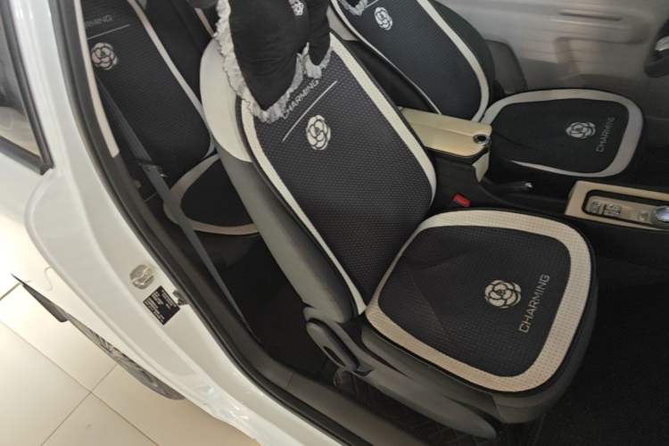 Used CHANGAN NEVO Lumin 2023 205km Xiangqin Version Right Front Seat