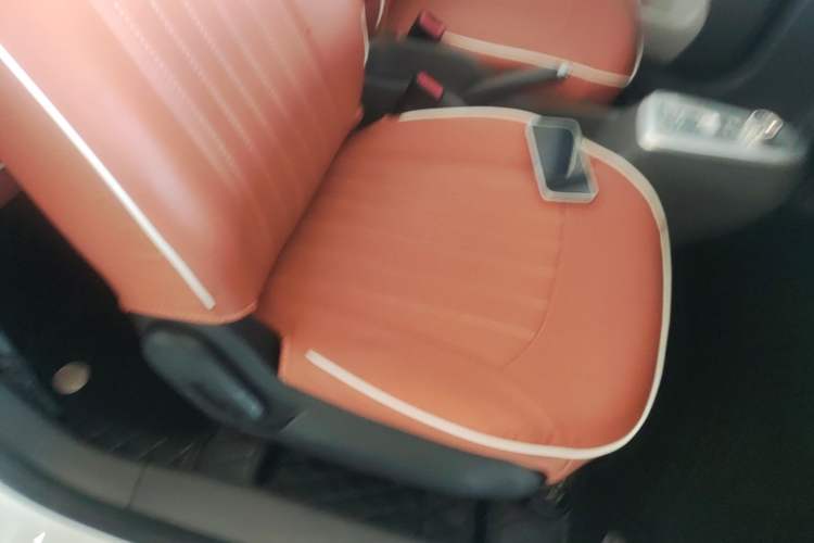 Used CHANGAN NEVO Lumin 2023 301km Honey Dew Edition Right Front Seat