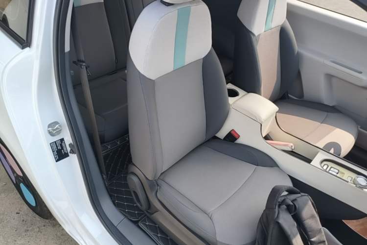 Used CHANGAN NEVO Lumin 2023 205km Xiangqin Version Right Front Seat