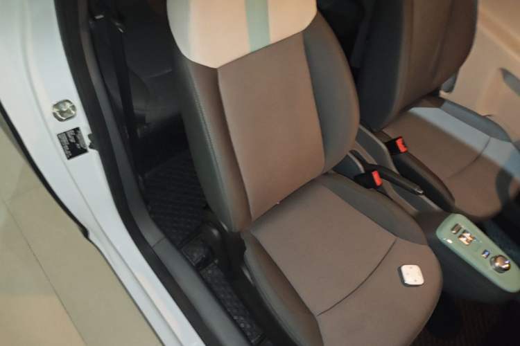 Used CHANGAN NEVO Lumin 2023 205km Xiangqin Version Right Front Seat