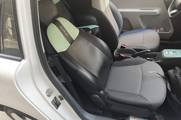 Used CHANGAN NEVO Lumin 2023 205km Xiangqin Version Right Front Seat
